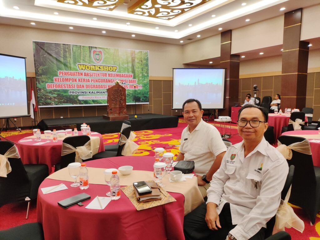 Workshop Penguatan Arsitektur Kelembagaan Kel. Kerja Pengurangan Emisi dari Deforestasi dan Degradasi Hutan